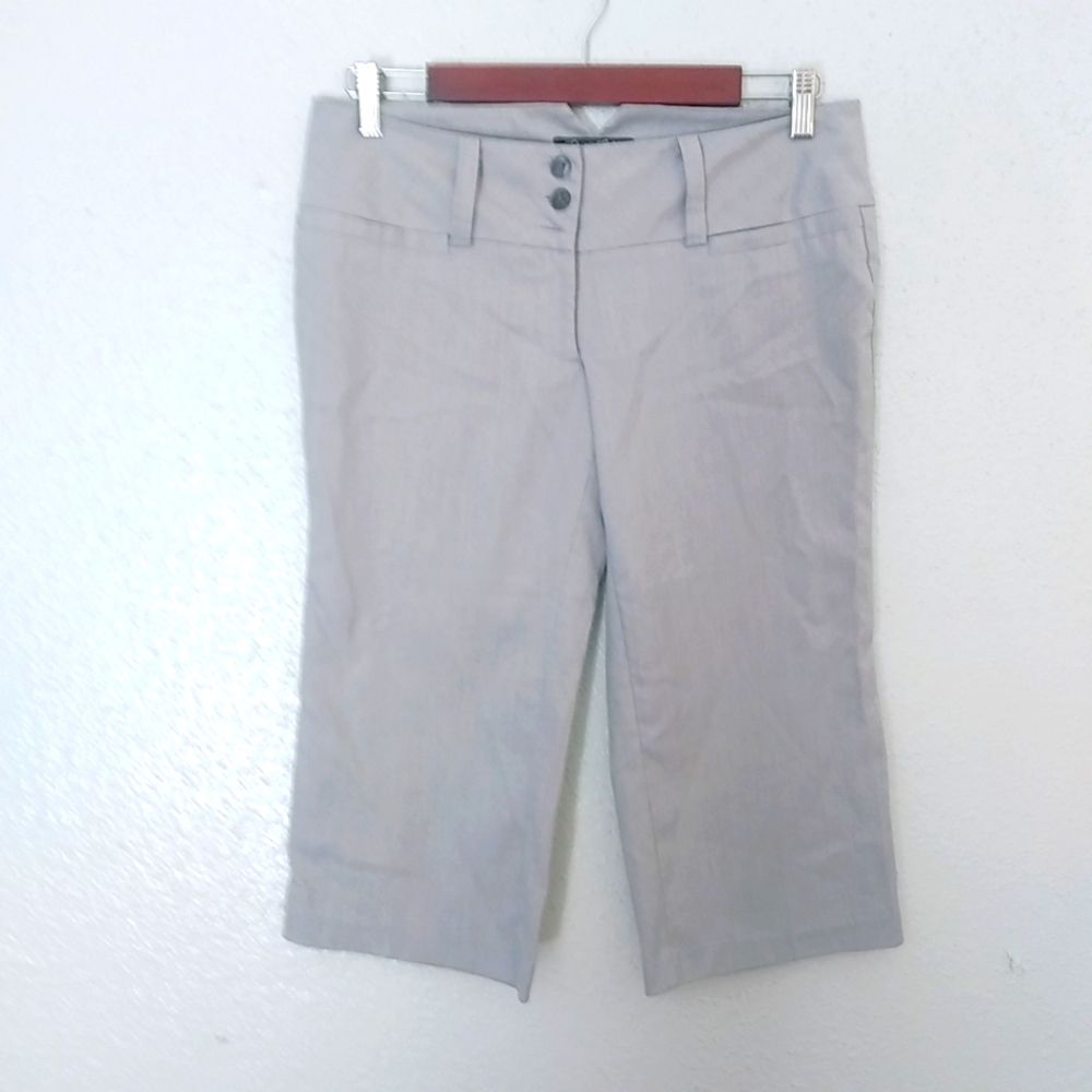 Stooshy 5 Gray Skate Shorts